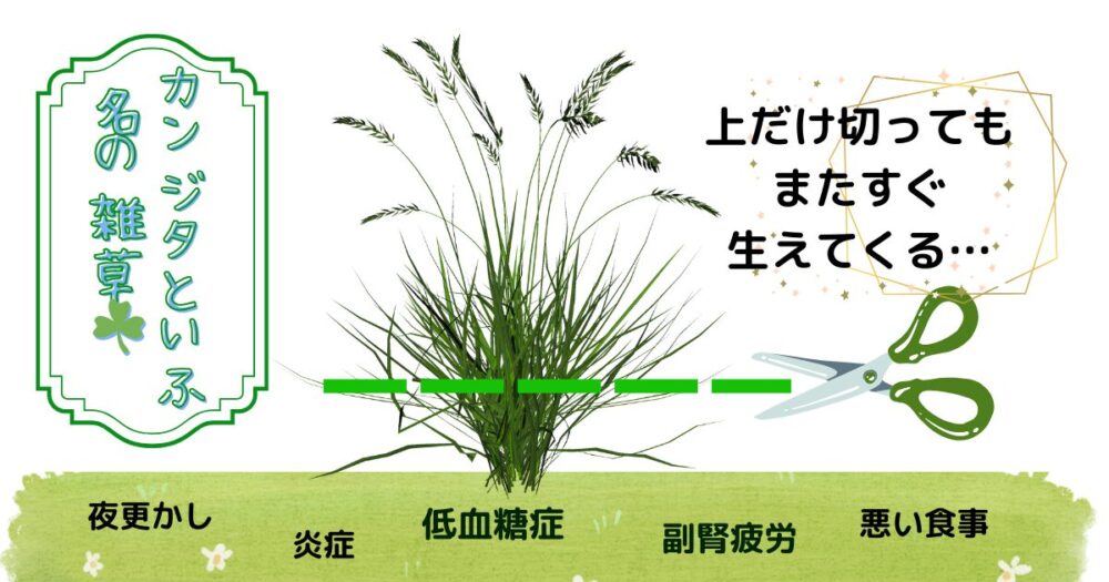 カンジタという名の雑草