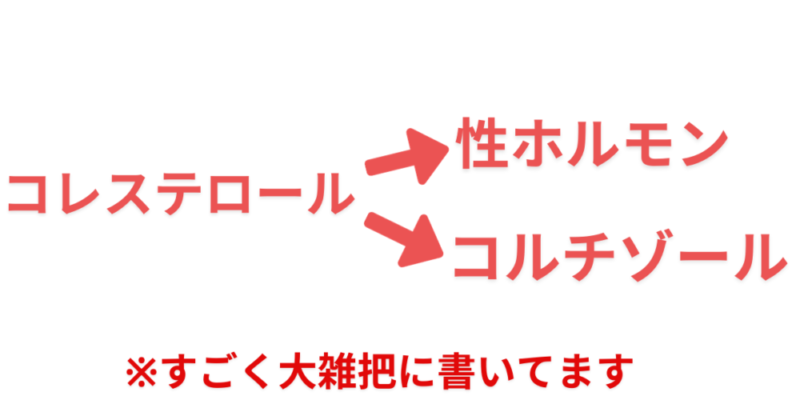 コレステロールから作られる２つのホルモン